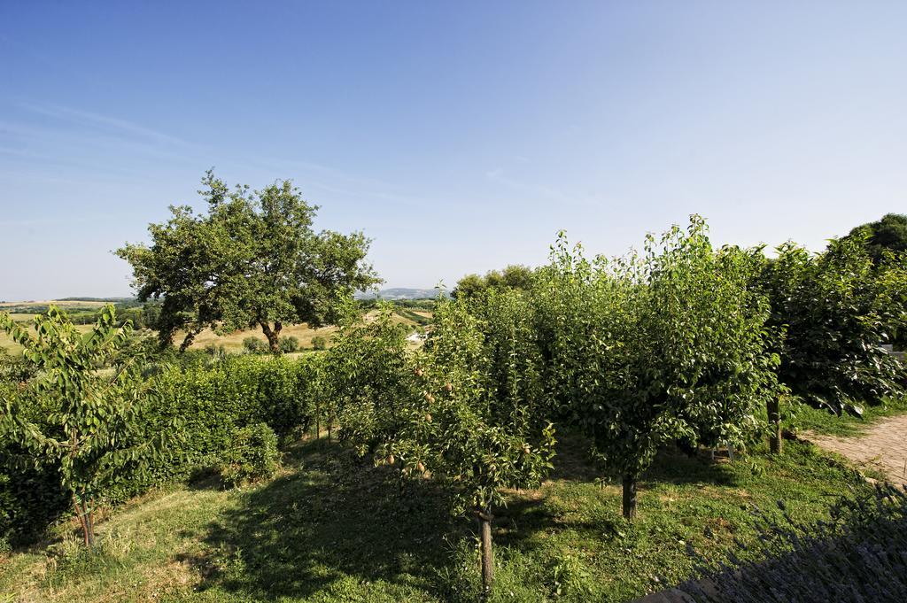 Вилла Agriturismo I Roseti Монтепульчано Номер фото